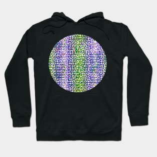 Colourful gradient unique flowers leopard stripes abstract modern 247 Pattern Hoodie